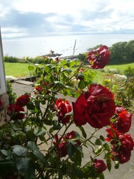 ahc Sea View from Alton August 2012